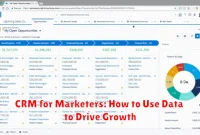 CRM for Marketers: How to Use Data to Drive Growth